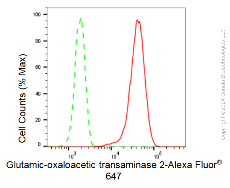 KD-Validated Anti-Glutamic-oxaloacetic transaminase 2 Rabbit Monoclonal Antibody ABG1579