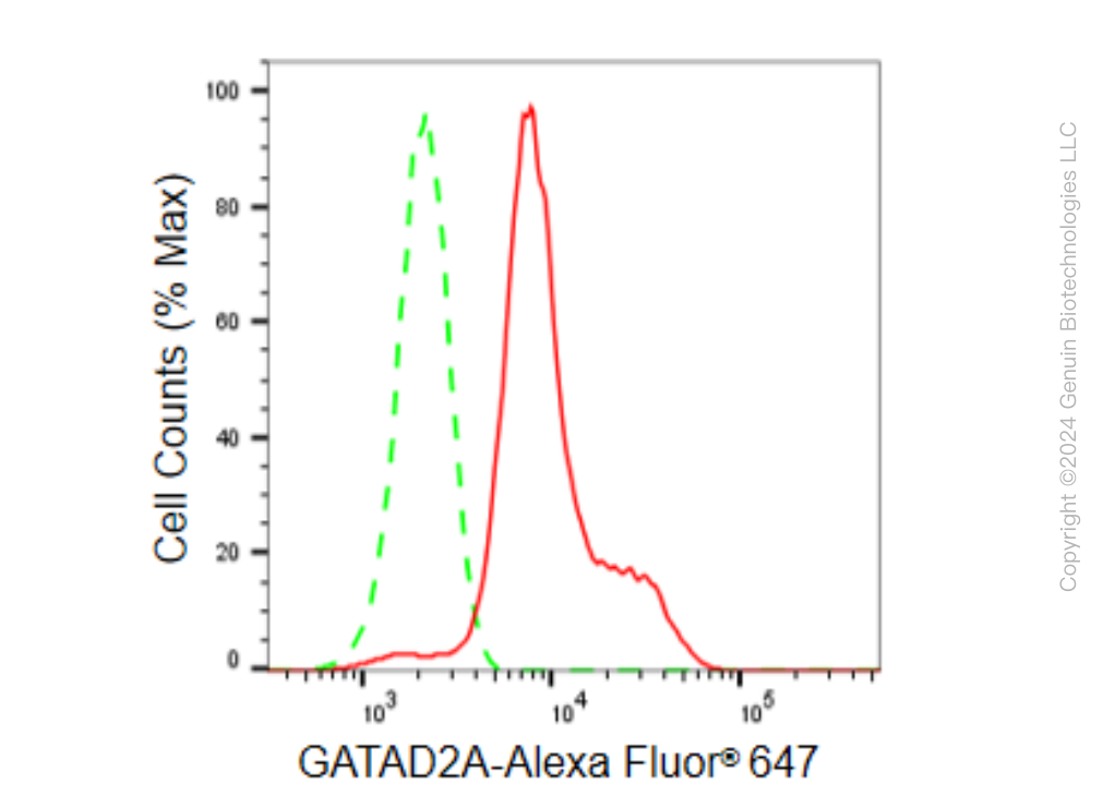 KD-Validated Anti-GATAD2A Rabbit Monoclonal Antibody ABG1580