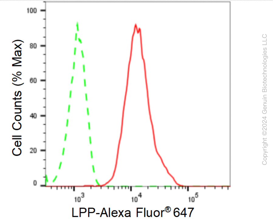KD-Validated Anti-LPP Rabbit Monoclonal Antibody ABG1581