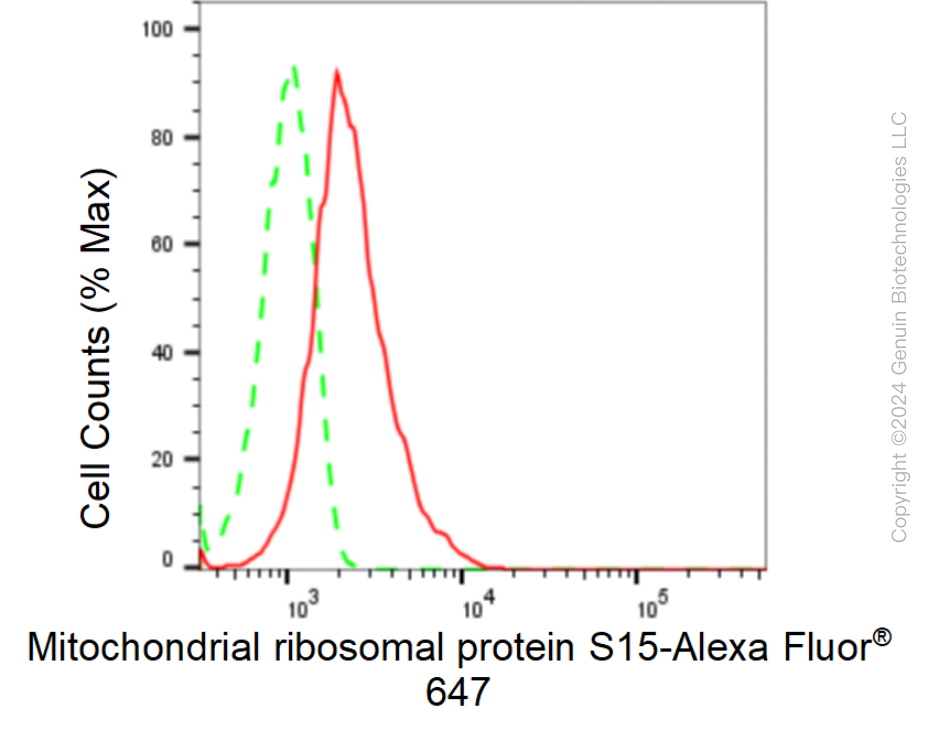KD-Validated Anti-Mitochondrial Ribosomal Protein S15 Rabbit Monoclonal Antibody ABG1584