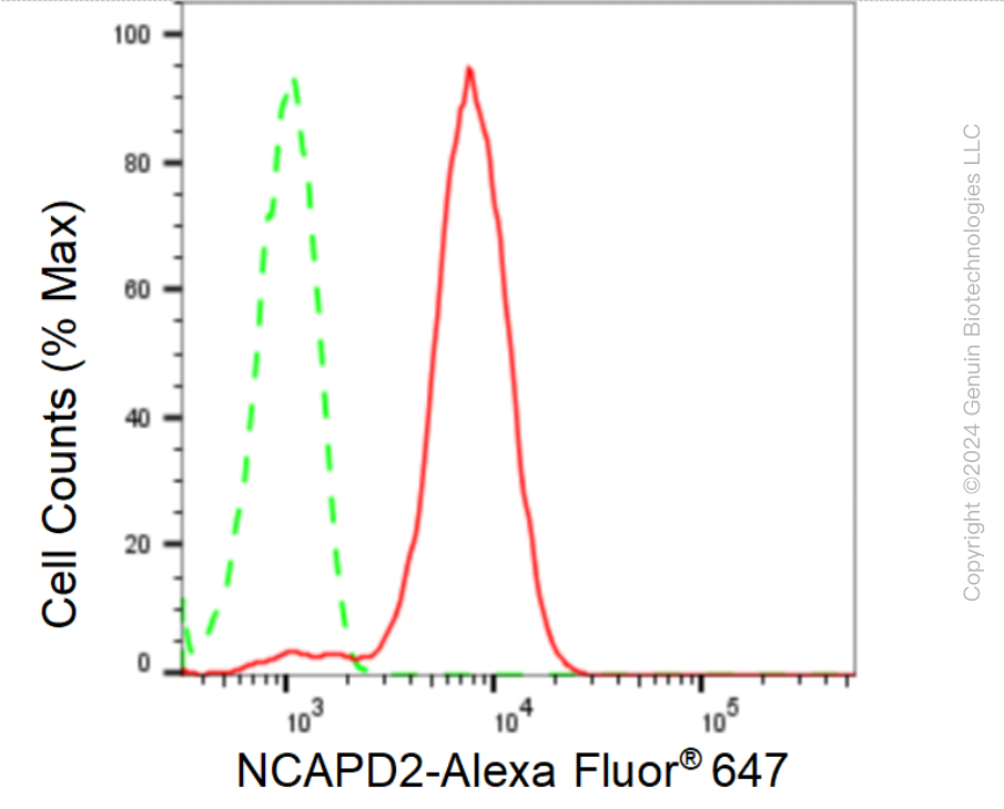 KD-Validated Anti-Non-SMC Condensin I Complex Subunit D2 Rabbit Monoclonal Antibody ABG1585
