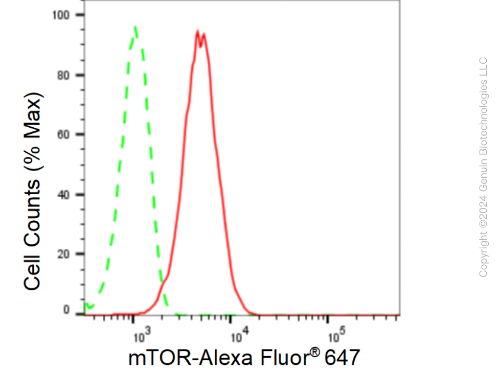 KD-Validated Anti-Mechanistic Target Of Rapamycin Kinase Rabbit Monoclonal Antibody ABG1589