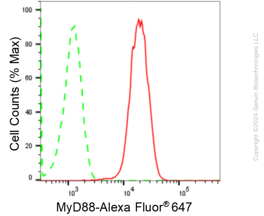 KD-Validated Anti-MYD88 Rabbit Monoclonal Antibody ABG1591