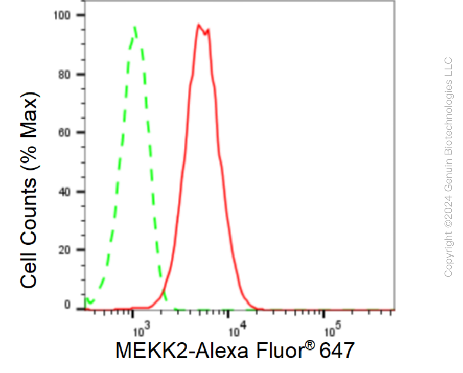KD-Validated Anti-MAP3K2 Rabbit Monoclonal Antibody ABG1593