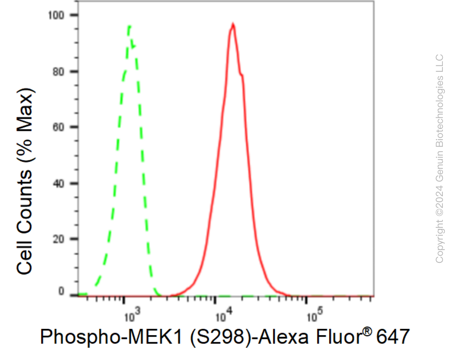 KD-Validated Anti-Phospho-MEK1 (S298) Rabbit Monoclonal Antibody ABG1596