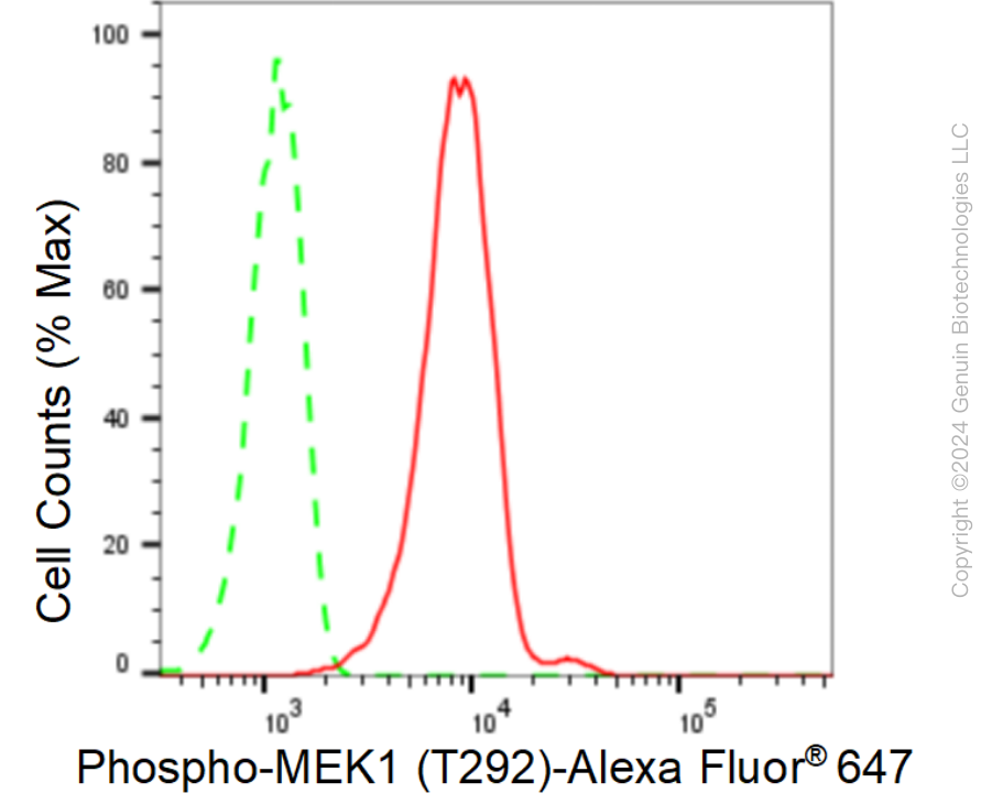 KD-Validated Anti-Phospho-MEK1 (T292) Rabbit Monoclonal Antibody ABG1597