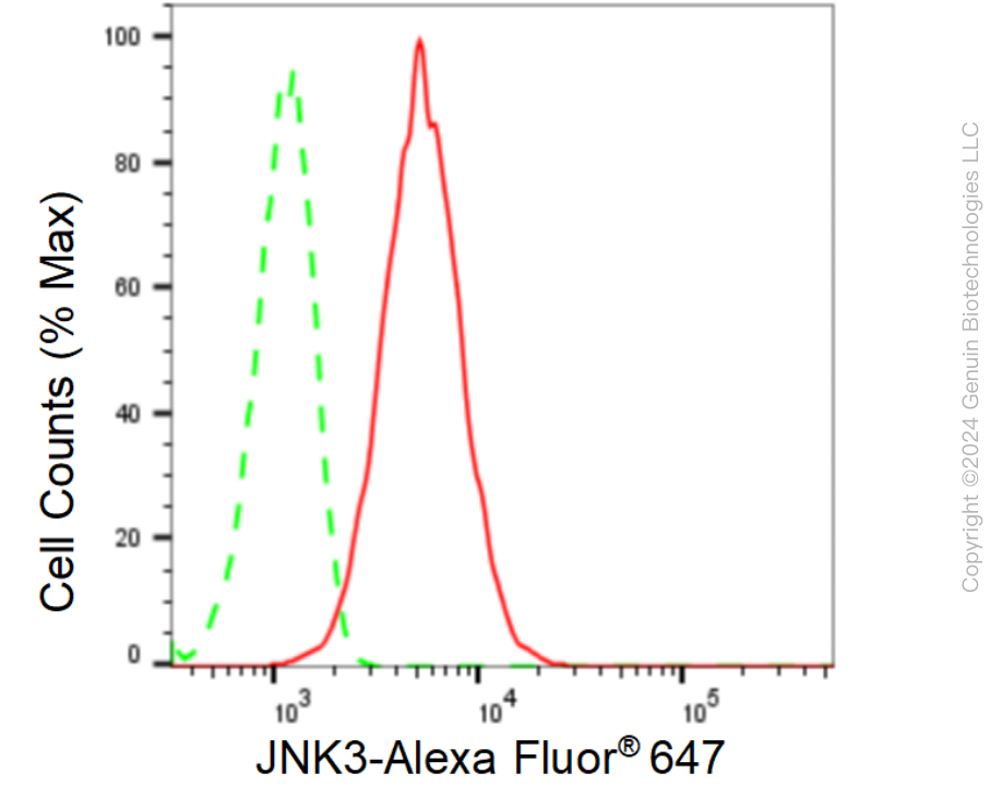 KD-Validated Anti-MAPK10 Rabbit Monoclonal Antibody ABG1599