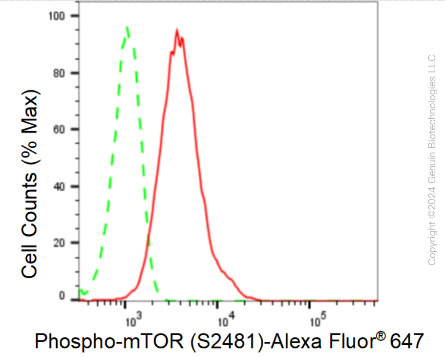 KD-Validated Anti-Phospho-mTOR (S2481) Rabbit Monoclonal Antibody ABG1600