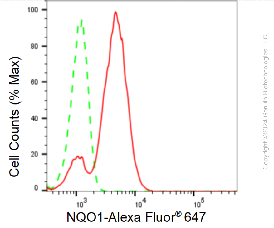 KD-Validated Anti-NAD(P)H Quinone Dehydrogenase 1 Rabbit Monoclonal Antibody ABG1602