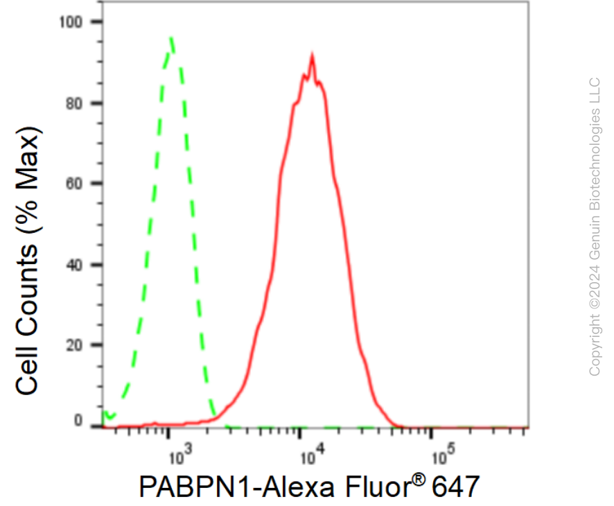 KD-Validated Anti-Poly(A) Binding Protein Nuclear 1 Rabbit Monoclonal Antibody ABG1603