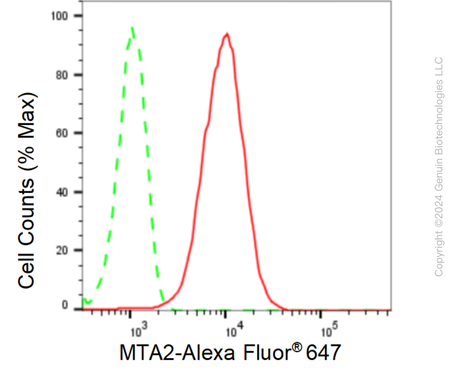 KD-Validated Anti-Metastasis Associated 1 Family Member 2 Rabbit Monoclonal Antibody ABG1604