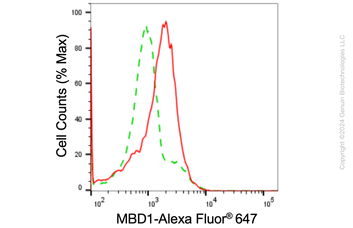 KD-Validated Anti-Methyl-CpG Binding Domain Protein 1 Rabbit Monoclonal Antibody ABG1605