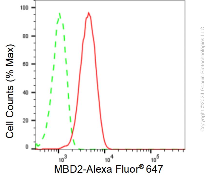 KD-Validated Anti-Methyl-CpG Binding Domain Protein 2 Rabbit Monoclonal Antibody ABG1606