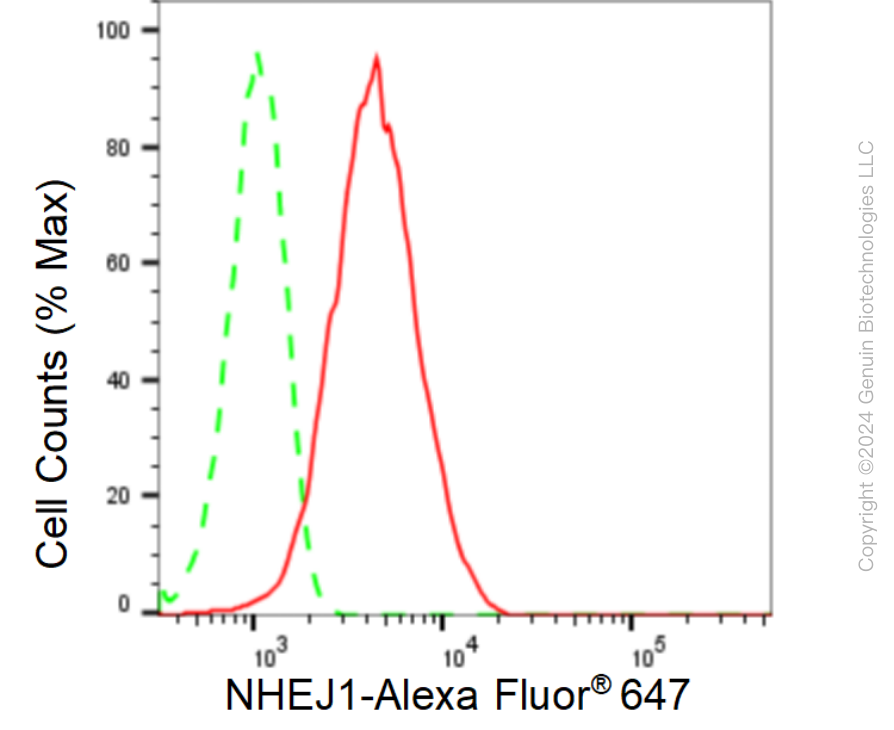 KD-Validated Anti-Non-Homologous End Joining Factor 1 Rabbit Monoclonal Antibody ABG1608