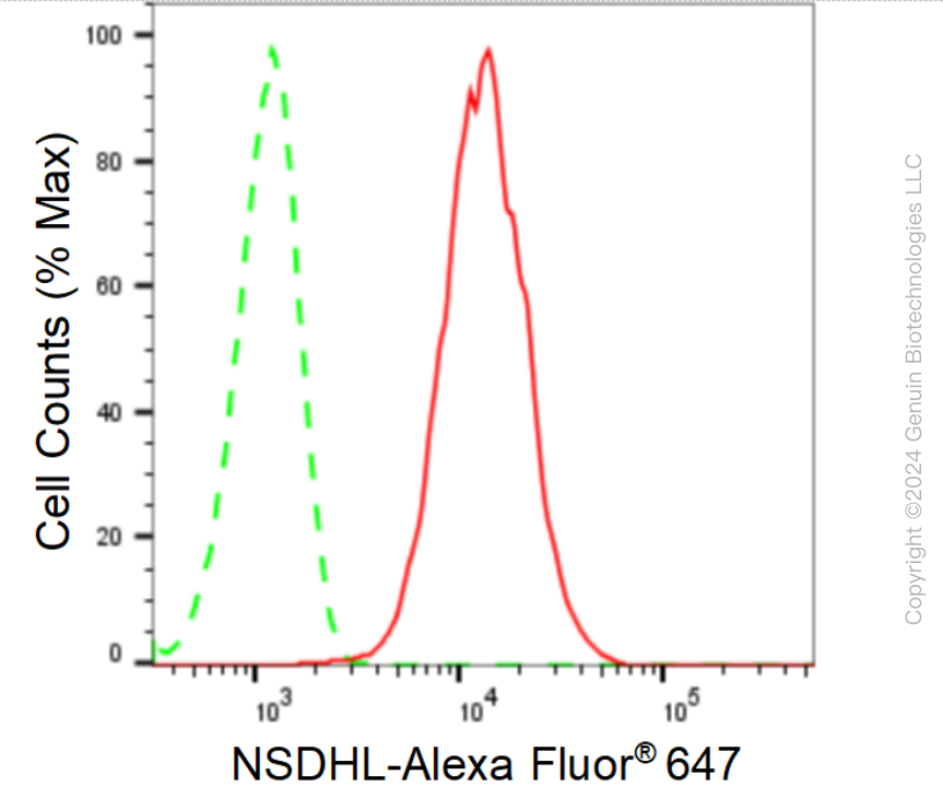 KD-Validated Anti-NSDHL Rabbit Monoclonal Antibody ABG1609