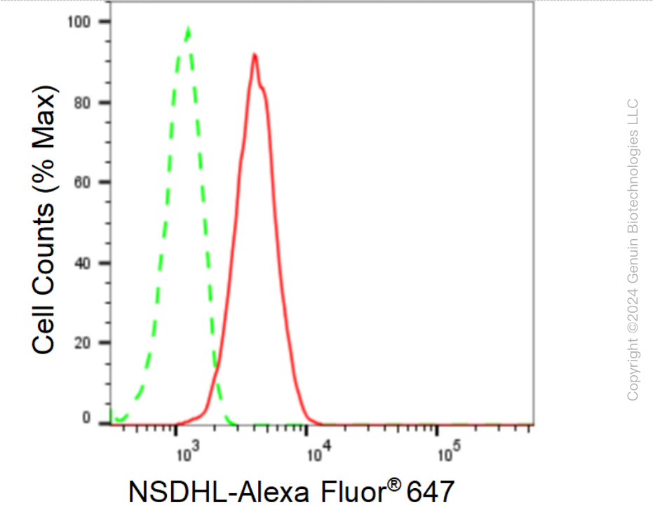 KD-Validated Anti-NSDHL Rabbit Monoclonal Antibody ABG1610