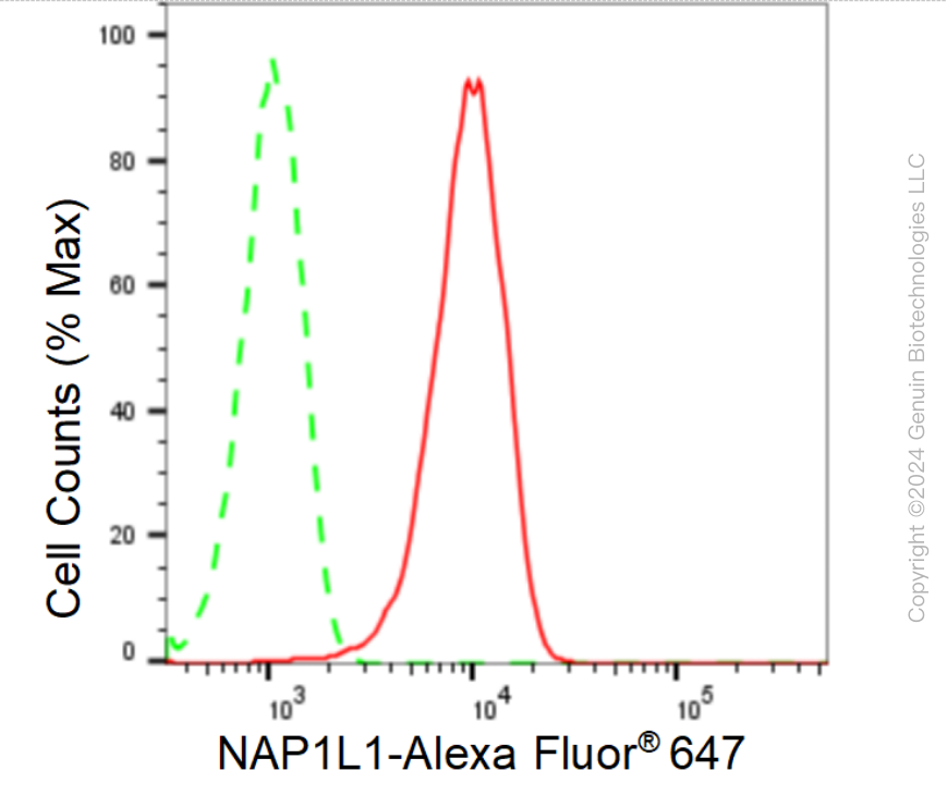 KD-Validated Anti-NAP1L1 Rabbit Monoclonal Antibody ABG1613