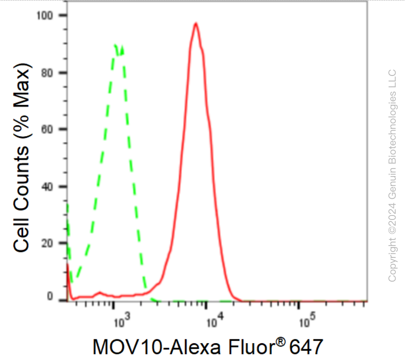 KD-Validated Anti-Mov10 RNA Helicase Rabbit Monoclonal Antibody ABG1614