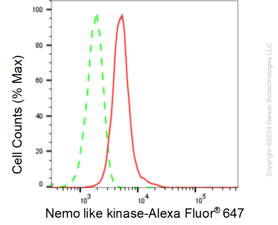 KD-Validated Anti-Nemo Like Kinase Rabbit Monoclonal Antibody ABG1616