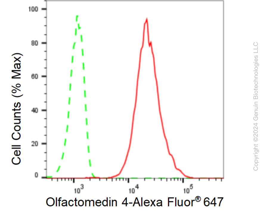 KD-Validated Anti-Olfactomedin 4 Rabbit Monoclonal Antibody ABG1619