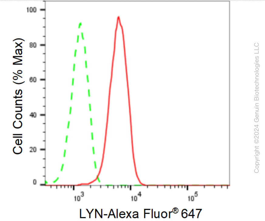 KD-Validated Anti-LYN Proto-Oncogene Rabbit Monoclonal Antibody ABG1621