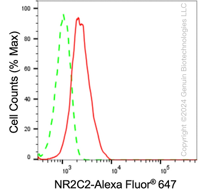KD-Validated Anti-NR2C2 Rabbit Monoclonal Antibody ABG1622