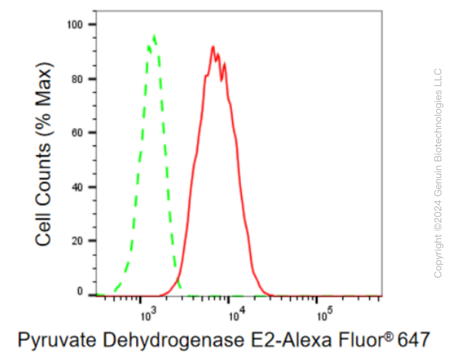 KD-Validated Anti-Pyruvate Dehydrogenase E2 Rabbit Monoclonal Antibody ABG1623