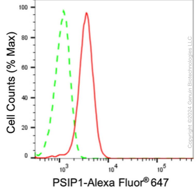 KD-Validated Anti-PSIP1 / LEDGF Rabbit Monoclonal Antibody ABG1629