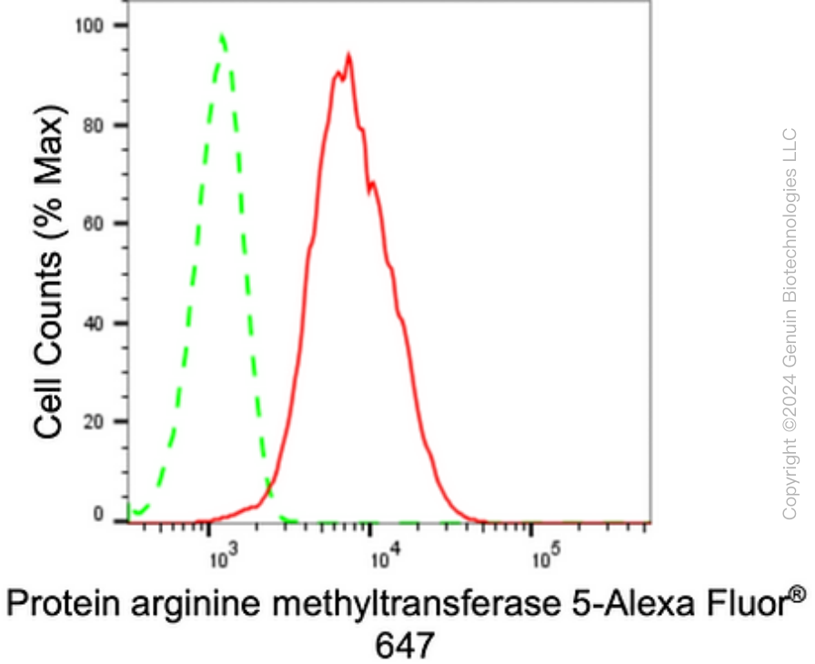 KD-Validated Anti-PRMT5 Rabbit Monoclonal Antibody ABG1630