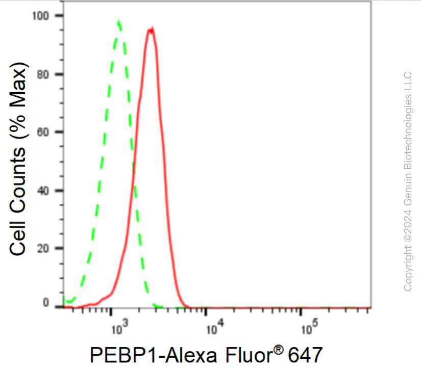 KD-Validated Anti-PBP Rabbit Monoclonal Antibody ABG1631