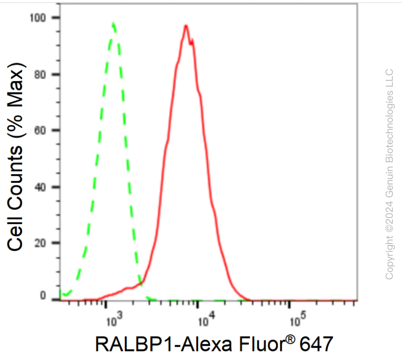 KD-Validated Anti-RalA Binding Protein 1 Rabbit Monoclonal Antibody ABG1632