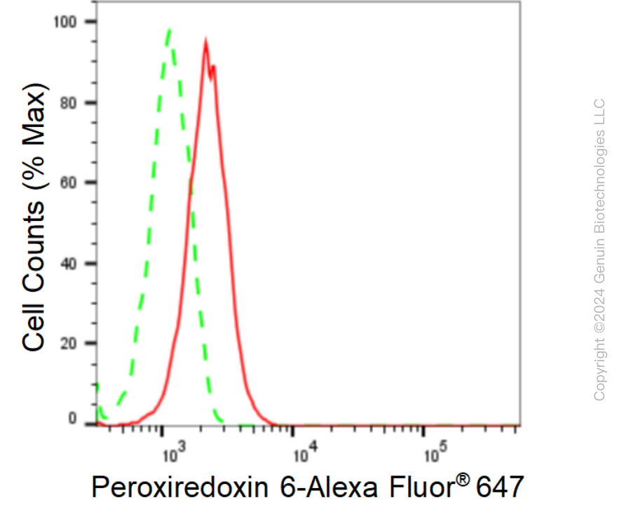 KD-Validated Anti-Peroxiredoxin 6 Rabbit Monoclonal Antibody ABG1636