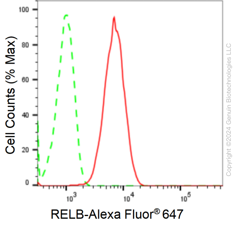 KD-Validated Anti-RelB Rabbit Monoclonal Antibody ABG1637