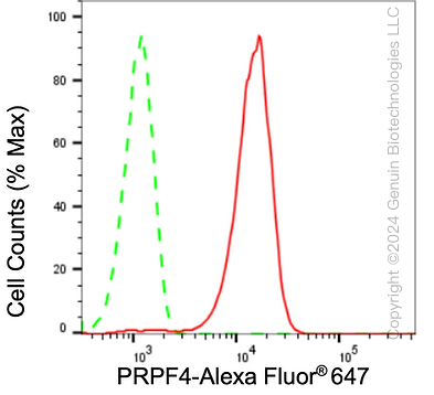 KD-Validated Anti-Pre-MRNA Processing Factor 4 Rabbit Monoclonal Antibody ABG1639