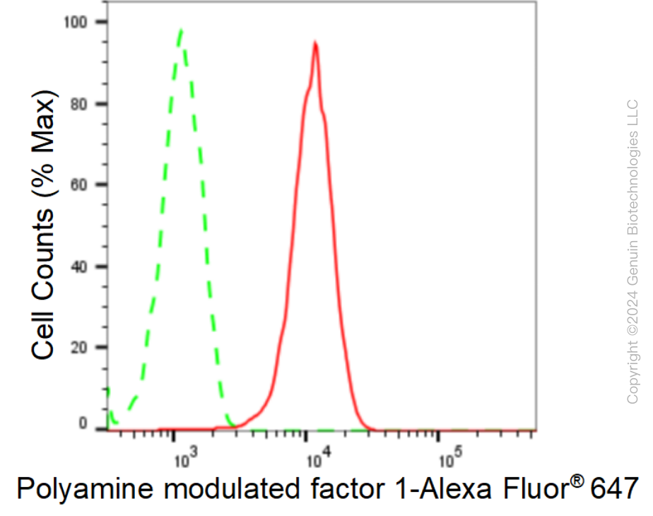 KD-Validated Anti-Polyamine Modulated Factor 1 Rabbit Monoclonal Antibody ABG1640