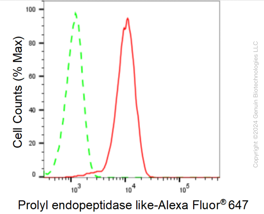 KD-Validated Anti-Prolyl Endopeptidase Like Rabbit Monoclonal Antibody ABG1641