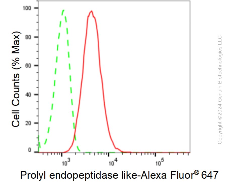 KD-Validated Anti-Prolyl Endopeptidase Like Rabbit Monoclonal Antibody ABG1642