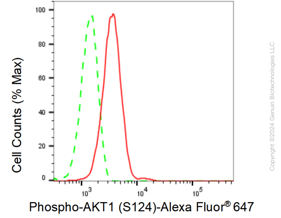 KD-Validated Anti-Phospho-AKT1 (S124) Rabbit Monoclonal Antibody ABG1643