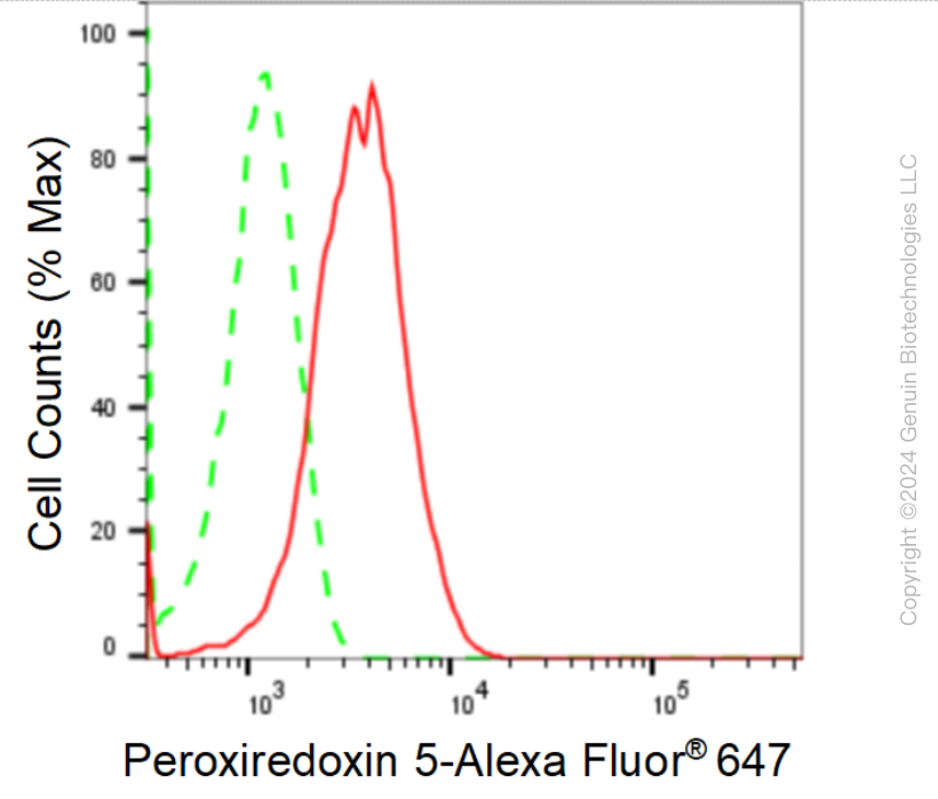 KD-Validated Anti-Peroxiredoxin 5 Rabbit Monoclonal Antibody ABG1645