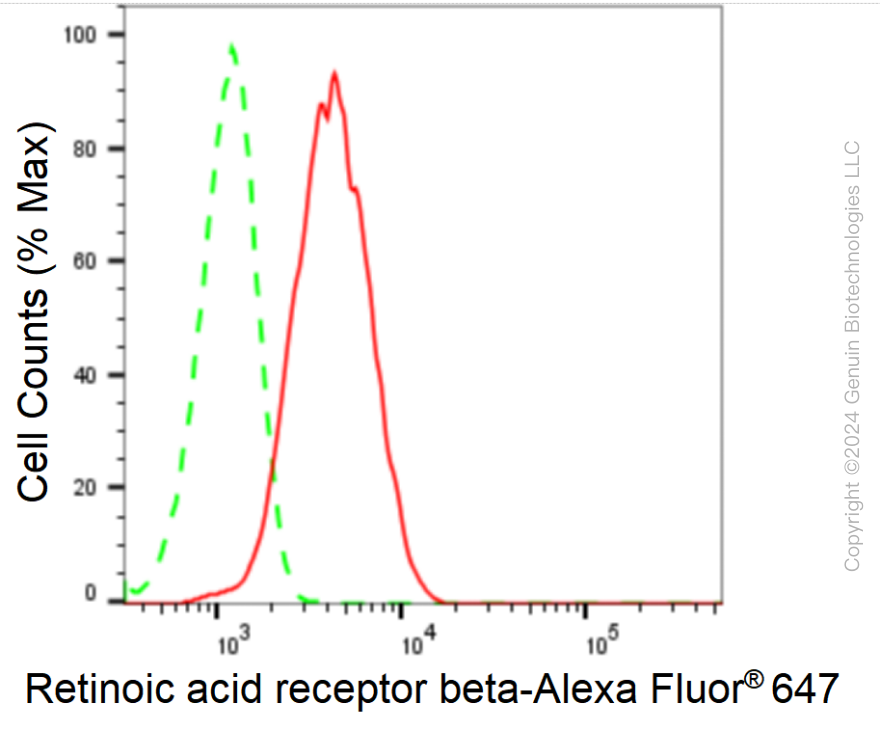 KD-Validated Anti-Retinoic Acid Receptor beta Rabbit Monoclonal Antibody ABG1647
