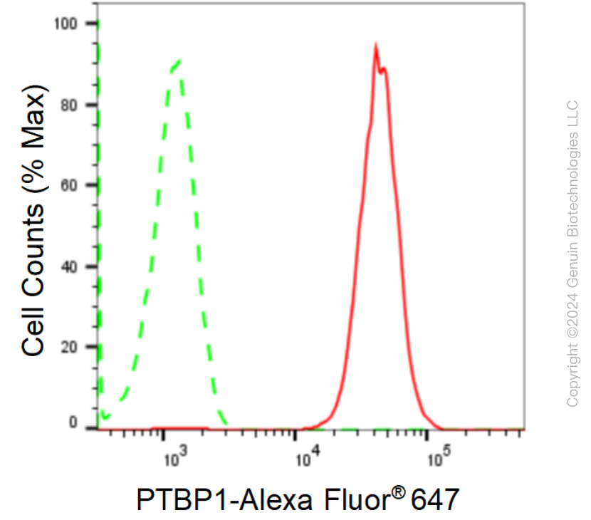 KD-Validated Anti-PTBP1 Rabbit Monoclonal Antibody ABG1652