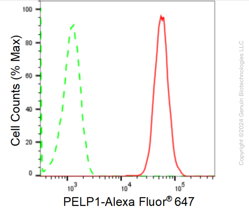 KD-Validated Anti-PELP1 Rabbit Monoclonal Antibody ABG1655