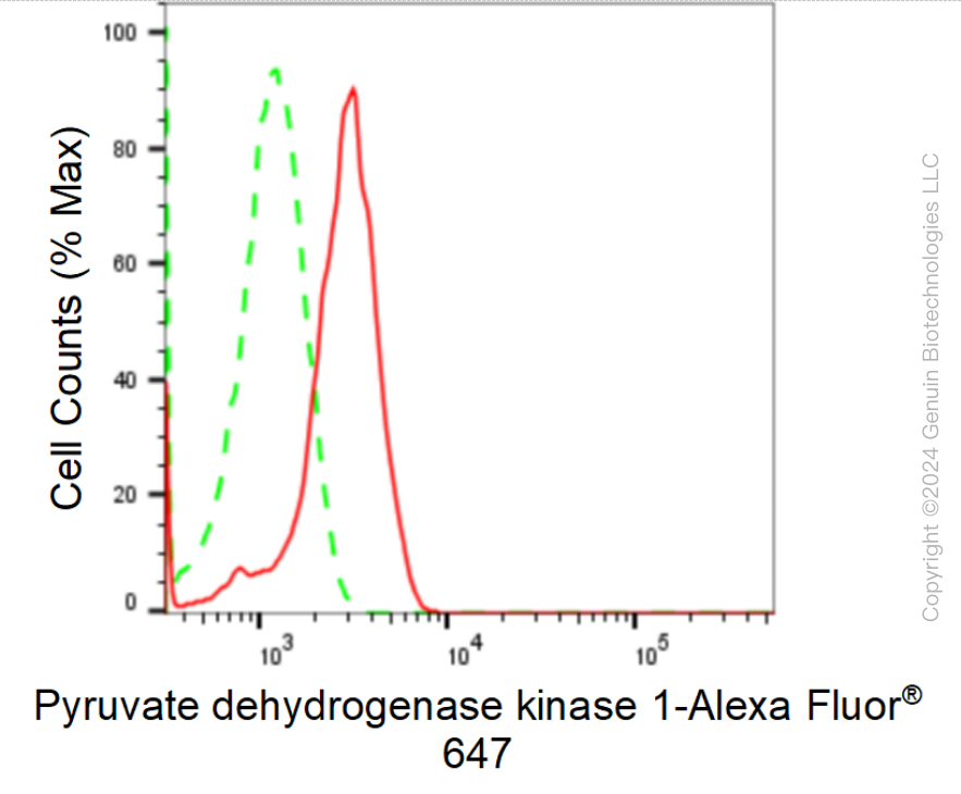 KD-Validated Anti-Pyruvate Dehydrogenase Kinase 1 Rabbit Monoclonal Antibody ABG1659