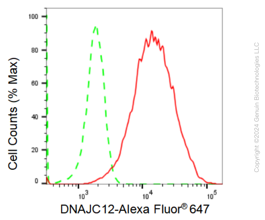 KD-Validated Anti-DNAJC12 Rabbit Monoclonal Antibody ABG1660