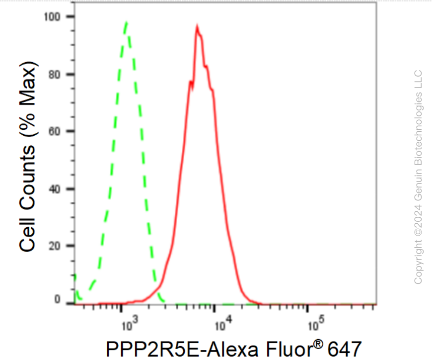 KD-Validated Anti-PPP2R5E Rabbit Monoclonal Antibody ABG1661