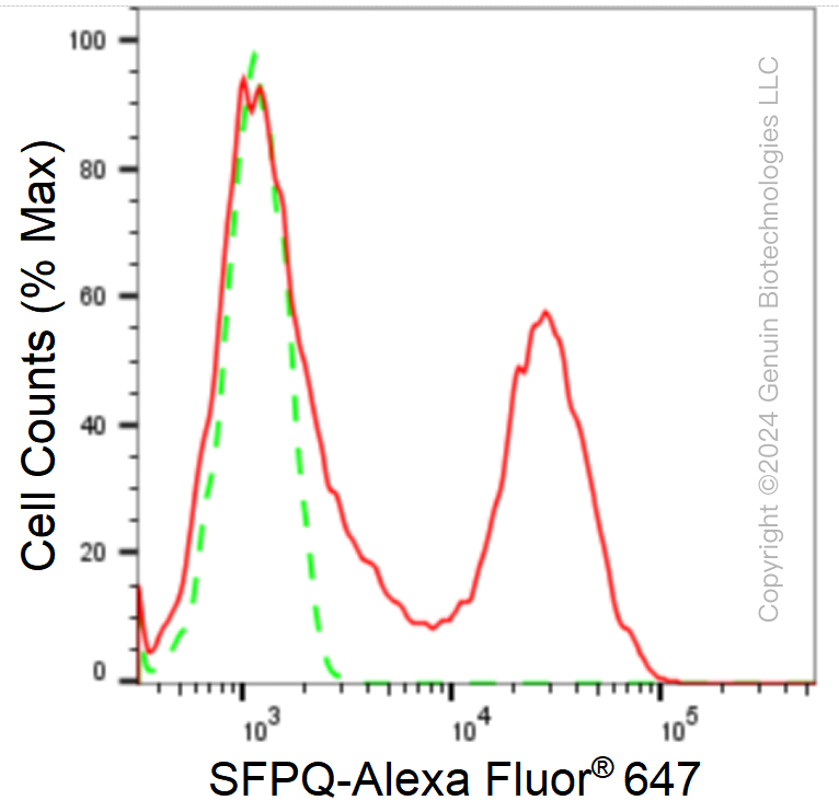 KD-Validated Anti-SFPQ Rabbit Monoclonal Antibody ABG1662