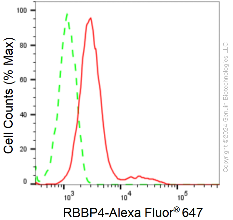 KD-Validated Anti-RBBP4 Rabbit Monoclonal Antibody ABG1664