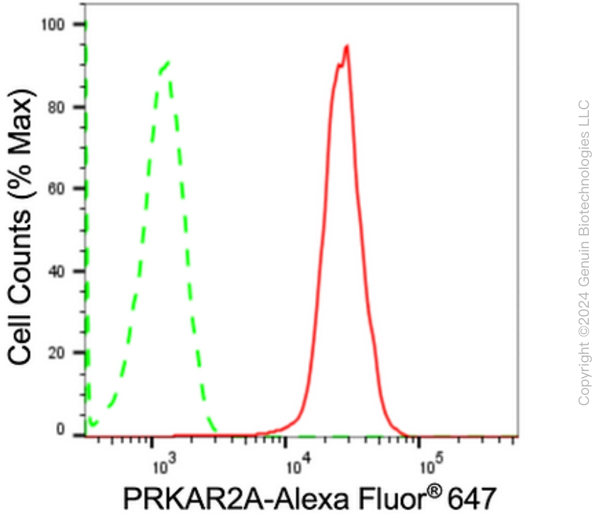 KD-Validated Anti-PRKAR2A Rabbit Monoclonal Antibody ABG1668