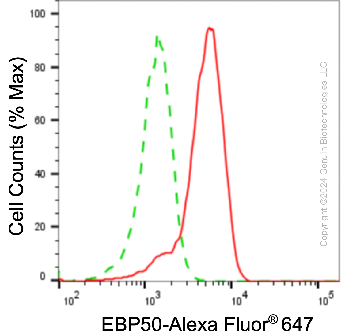 KD-Validated Anti-NHERF1 Rabbit Monoclonal Antibody ABG1669