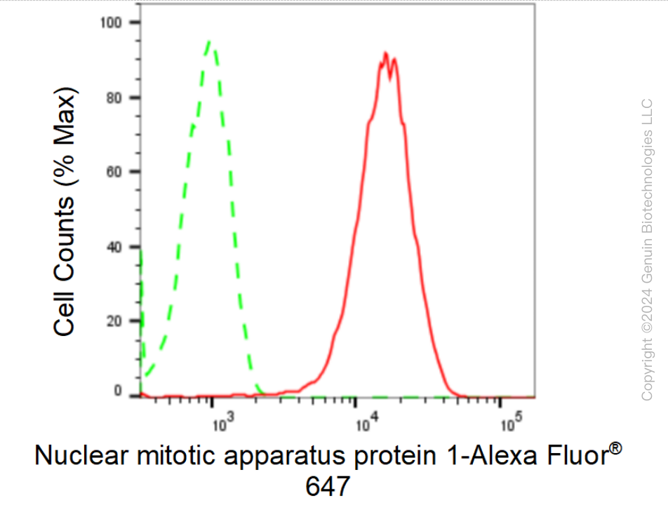KD-Validated Anti-Nuclear Mitotic Apparatus Protein 1 Rabbit Monoclonal Antibody ABG1670